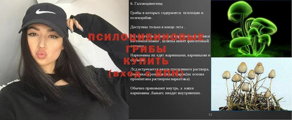 тгк Михайлов